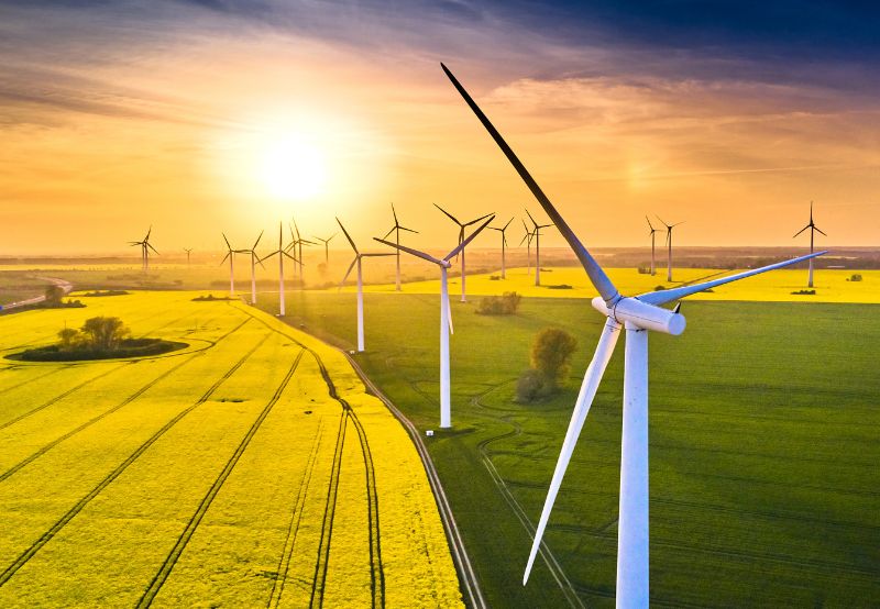 Wind Turbine Maker Suzlon’s Net Profit Slides to ₹1 Billion in Q1 FY24